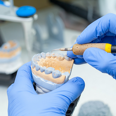 Gloved hands working on model of teeth